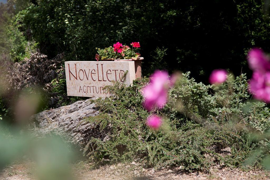 Novelleto Villa Monteriggioni Dış mekan fotoğraf