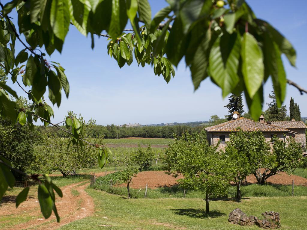Novelleto Villa Monteriggioni Dış mekan fotoğraf