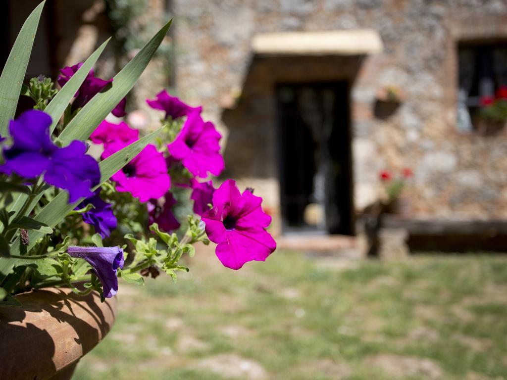 Novelleto Villa Monteriggioni Dış mekan fotoğraf