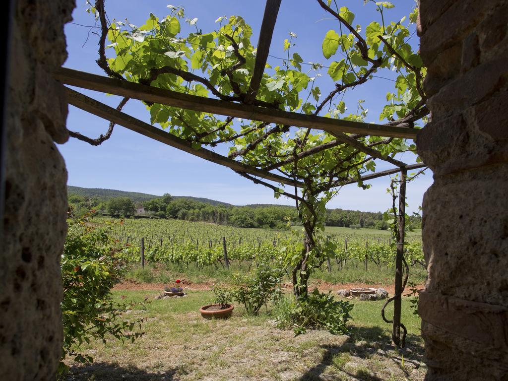 Novelleto Villa Monteriggioni Dış mekan fotoğraf